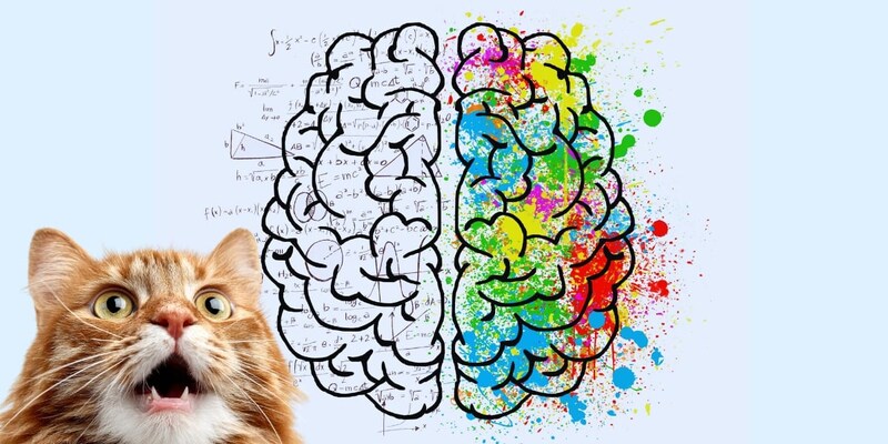 美は「予想外の驚き」の中に隠れているのか？