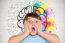 美しさは脳が「驚き」を解決した時に立ち上がる