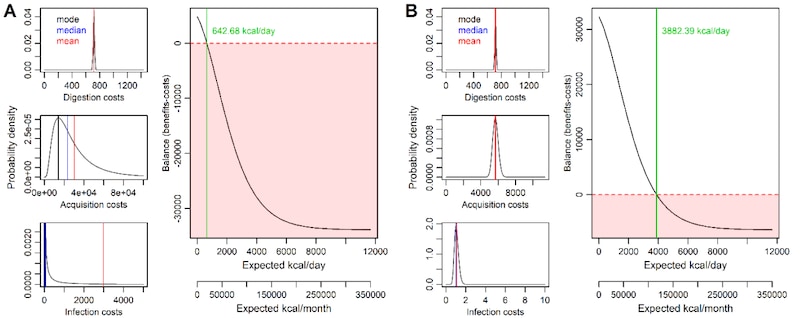 カニバルの損得を数理モデルで解き明かす