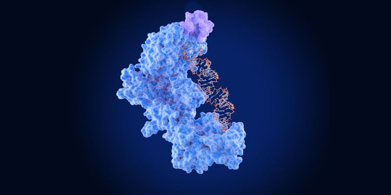 たった45文字のRNA分子が「自己複製コア」として動くと判明――自己複製の起源に迫る