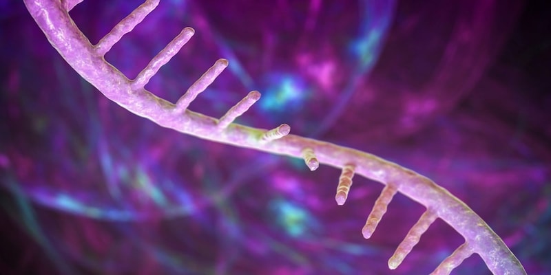 生命創造はまだだけど複製コアはどうにかなりそう