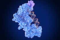 たった45文字のRNA分子が「自己複製コア」として動くと判明――自己複製の起源に迫る