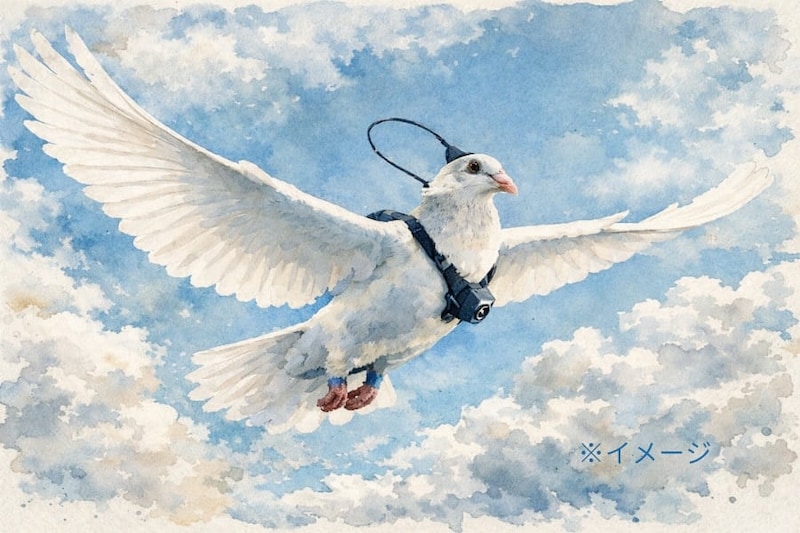 ハトの脳をハックする「生きたドローン」計画がロシアで進行中