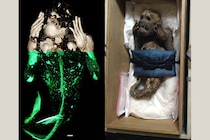 サルですらなかった⁈圓珠院所蔵『人魚ミイラ』研究の最終報告