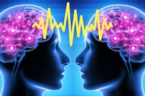 たとえ部屋に1人でもオンラインゲームの協力プレイは「脳の同期」を起こす