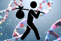 人間のDNAには無数の「旅人遺伝子」が刻まれているようだ