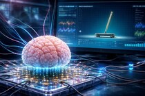 マウスの人工培養脳に「棒立てゲーム」を学習させることに成功