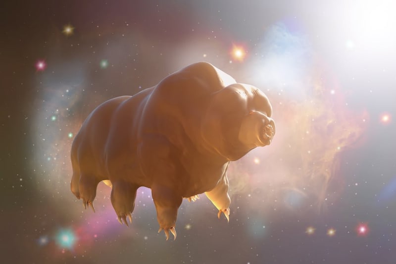 小惑星に乗って宇宙空間に拡がれる?