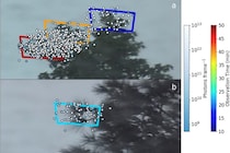 雷雨のたびに木々は「目に見えない放電」で輝いている