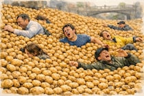 【ジャガイモの洪水】ドイツで4000トンの余剰ジャガイモが無料配布される