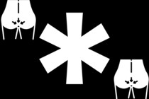 肛門は「精子を放出する穴」から進化した可能性がある