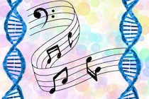 音楽を楽しむ力の54%はDNAが決めている