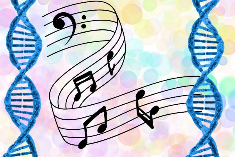 音楽を楽しむ力の54%はDNAが決めている