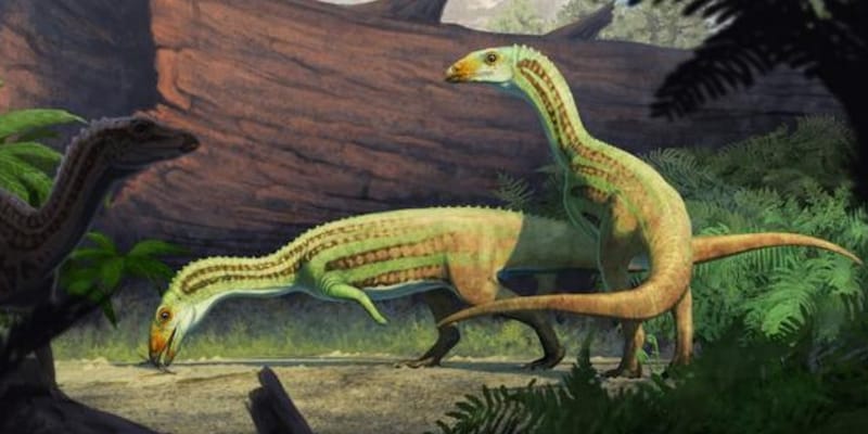 古代のワニは思春期に4足歩行から2足歩行に変化した