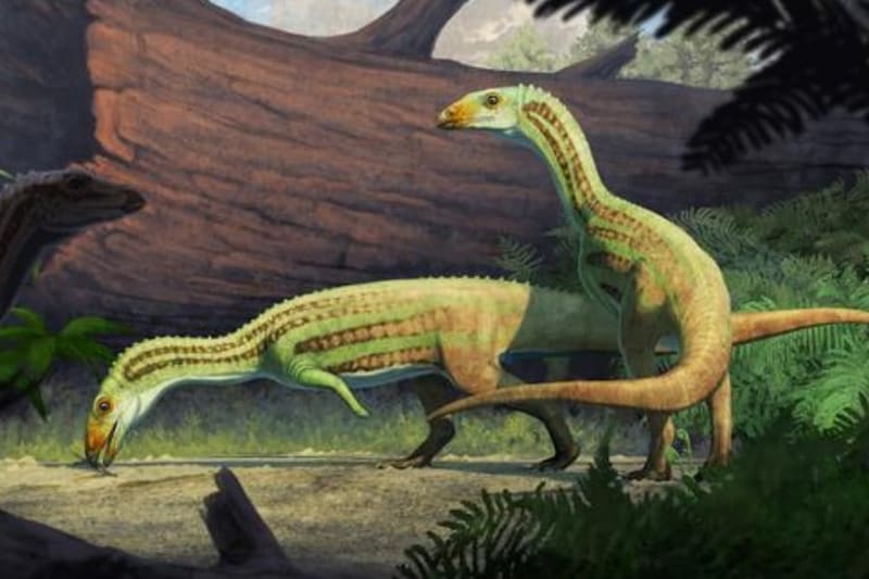 古代のワニは思春期に4足歩行から2足歩行に変化した