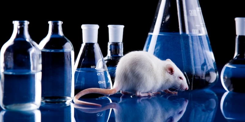 「老い＝悪い」「若い＝良い」という公式が崩れた