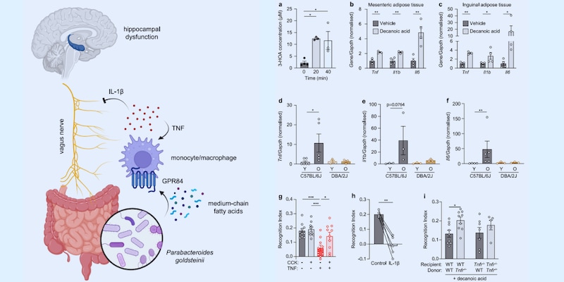 物忘れ対策は「脳の外」にもある