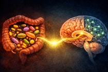 物忘れが腸内細菌によって加速される：スタンフォード大が見つけた「腸➔脳ルート」