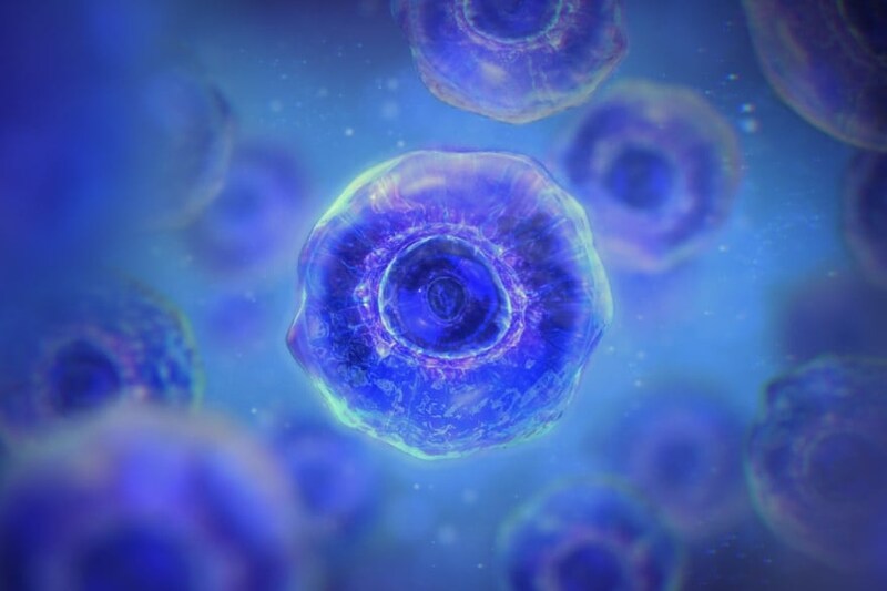 「凍結を促す真菌」を発見、天候操作に役立つ可能性