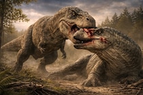 獲物の頭蓋に突き刺さった「ティラノサウルスの歯」を発見