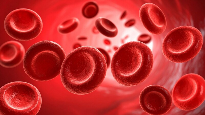 血は記憶を運ぶのか?