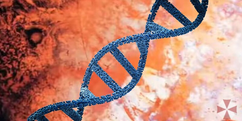 記憶は注射できるのか? アメフラシが見せた衝撃