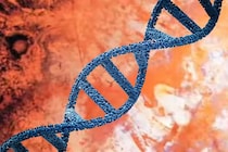 記憶は注射できるのか？　アメフラシが見せた衝撃