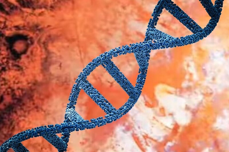 記憶は注射できるのか? アメフラシが見せた衝撃