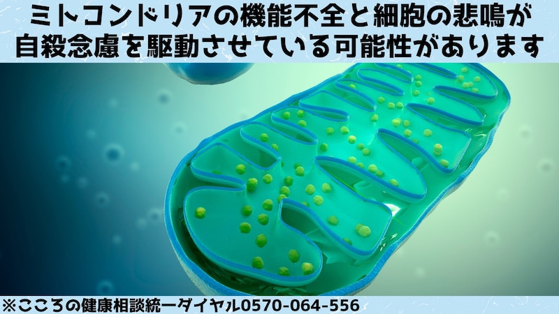 男女別の血液検査で「自殺したい人」を90%の精度で判別することに成功！