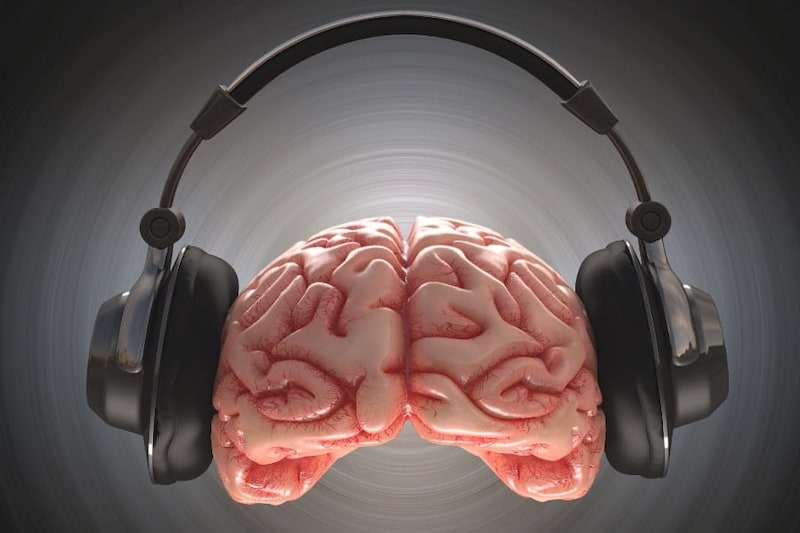 あなたのプレイリストは知能を映すのか？　手がかりはメロディーではなく歌詞だった