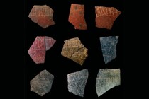 6万年前のダチョウの卵に「人類最古の幾何学」を発見か