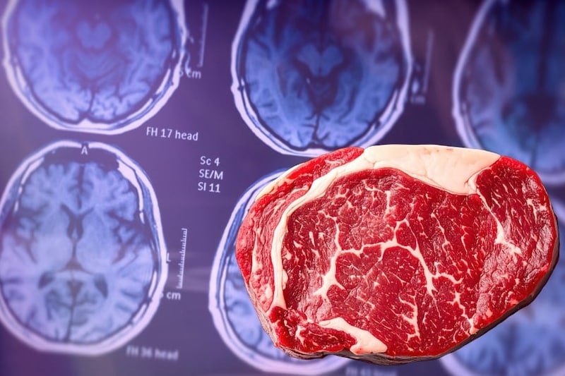 肉を多く食べていると遺伝的にアルツハイマー病になりやすい人も認知症リスクが低くなっていた
