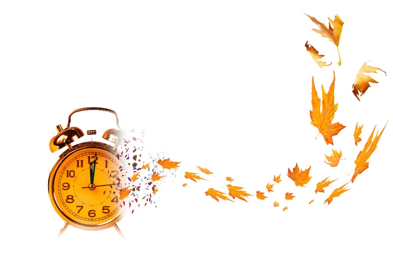 時間盲が起きるのは脳の機能障害に原因がある?