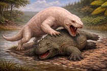 【恐竜以前の覇者】2億6千万年前の南アにいた「新種プレデター」を発見