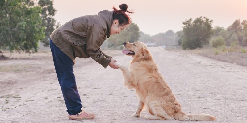 女性は「自分の犬」よりも「見知らぬ犬」に高い声で話しかける