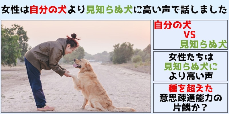 女性は「自分の犬」よりも「見知らぬ犬」に高い声で話しかける
