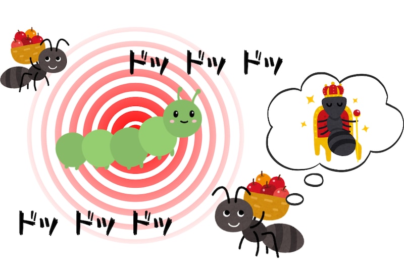 アリを騙して「女王扱いさせる」蝶の幼虫、秘密は”リズム”だった