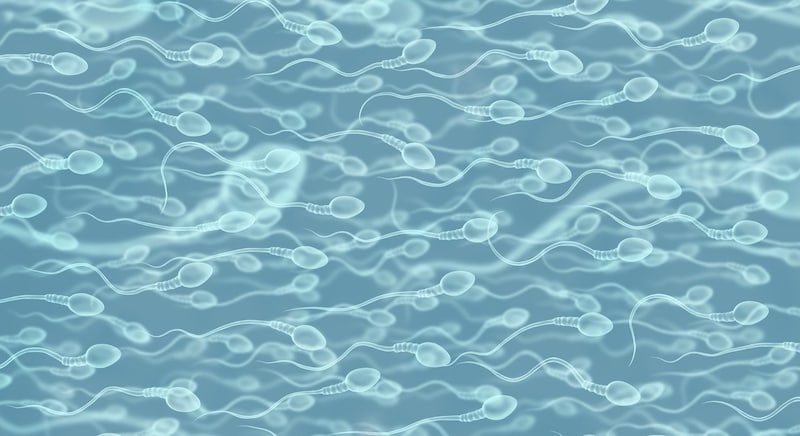 毎秒1000個の精子工場をどう止めるか