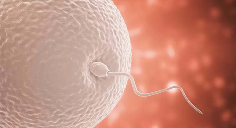 安全性を子ども世代まで追いかけた