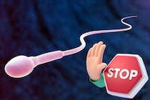 男性用避妊薬の『やめれば完全元通り』をマウスで実証