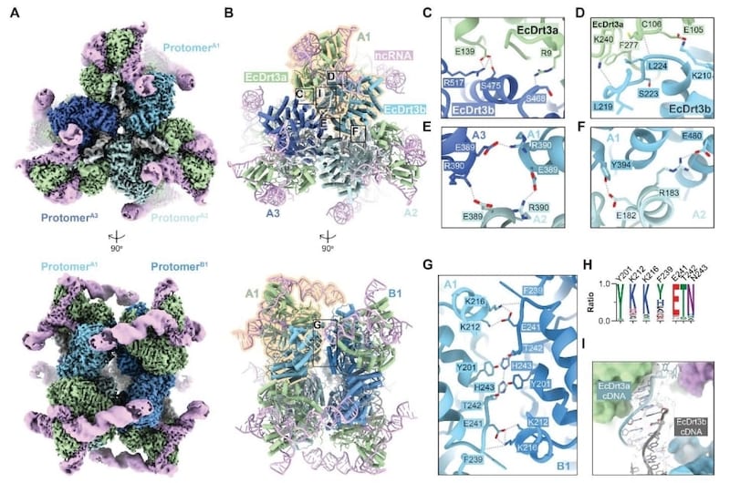 18個の部品が作る、美しい対称構造の分子マシン
