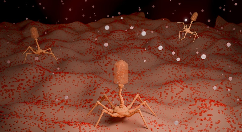 なぜ細菌は、こんな変わった仕組みを身につけたのか