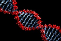 「DNAはお手本を見ながら作る」という生物の大前提が、細菌の中で破られていた――アミノ酸が文字代わりに