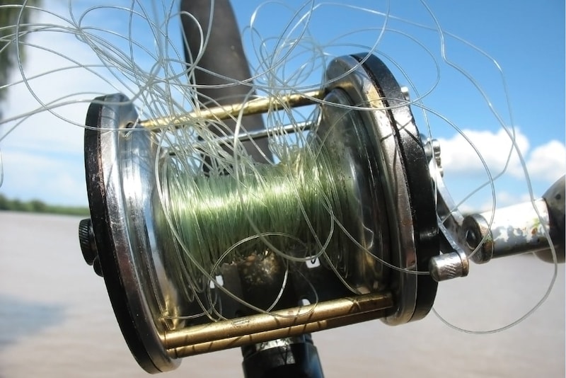 「ナイロンの釣り糸」が海で生分解することを発見：実は急速に溶けていた