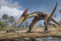 空飛ぶ翼竜が「地上を走って獲物狩り」していた足跡化石を発見か