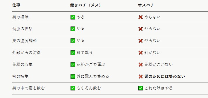 マルハナバチのオスは巣の中では食べるくらいしかしない