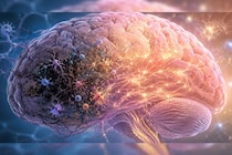定説「壊れた脳は治らない」を覆す発見ー－脳の自然治癒力を維持する方法が見つかる