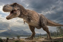 ティラノサウルスのような肉食恐竜は「なぜ手が小さい」のか？