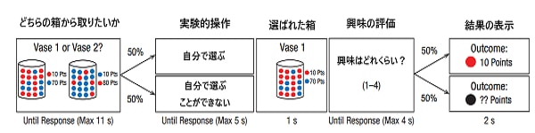 本実験の流れを示した図