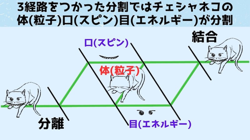 猫は干渉計内で 3 つの異なる部分に分かれています。猫の各部分は、スピン (笑顔)、粒子 (体)、エネルギー (目) の中性子特性に対応しています。実験中に適用された弱い相互作用に対する反応は、中性子の性質が分離されているという認識につながる可能性があります。